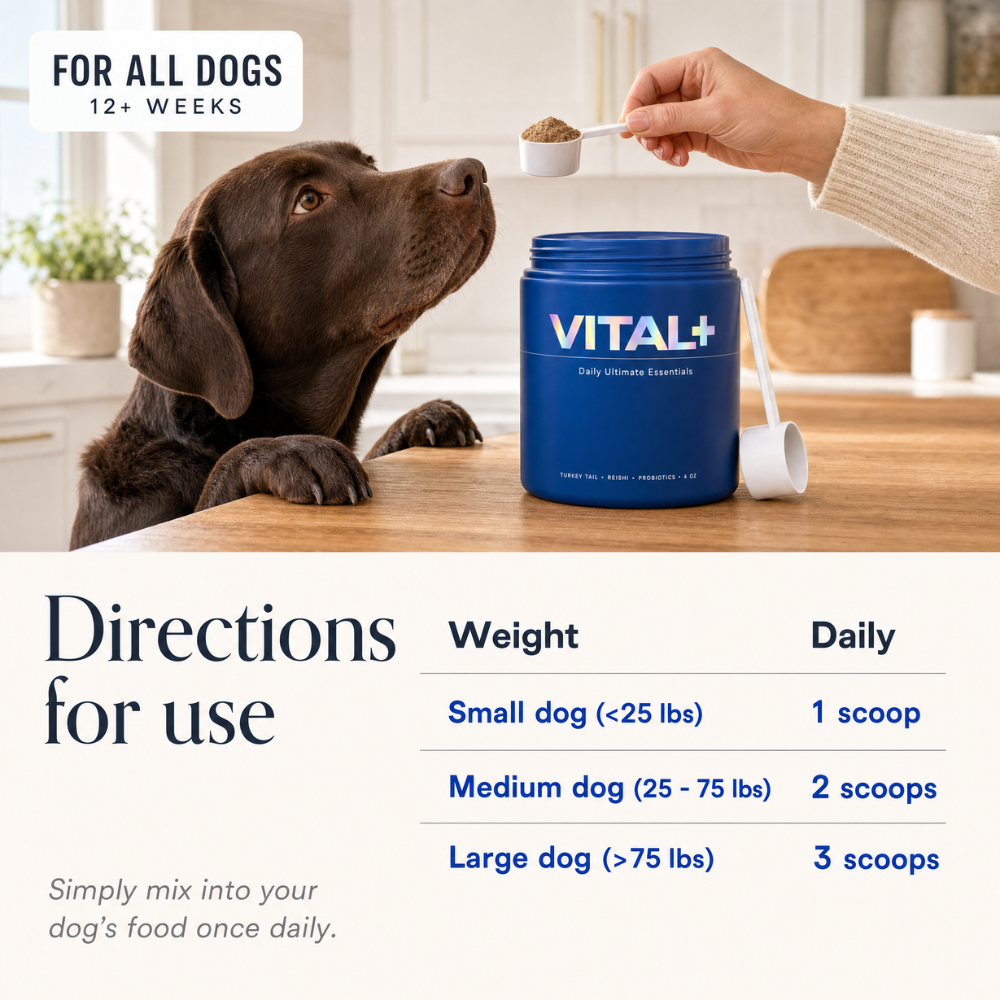 VITAL+ | Daily Ultimate Essentials