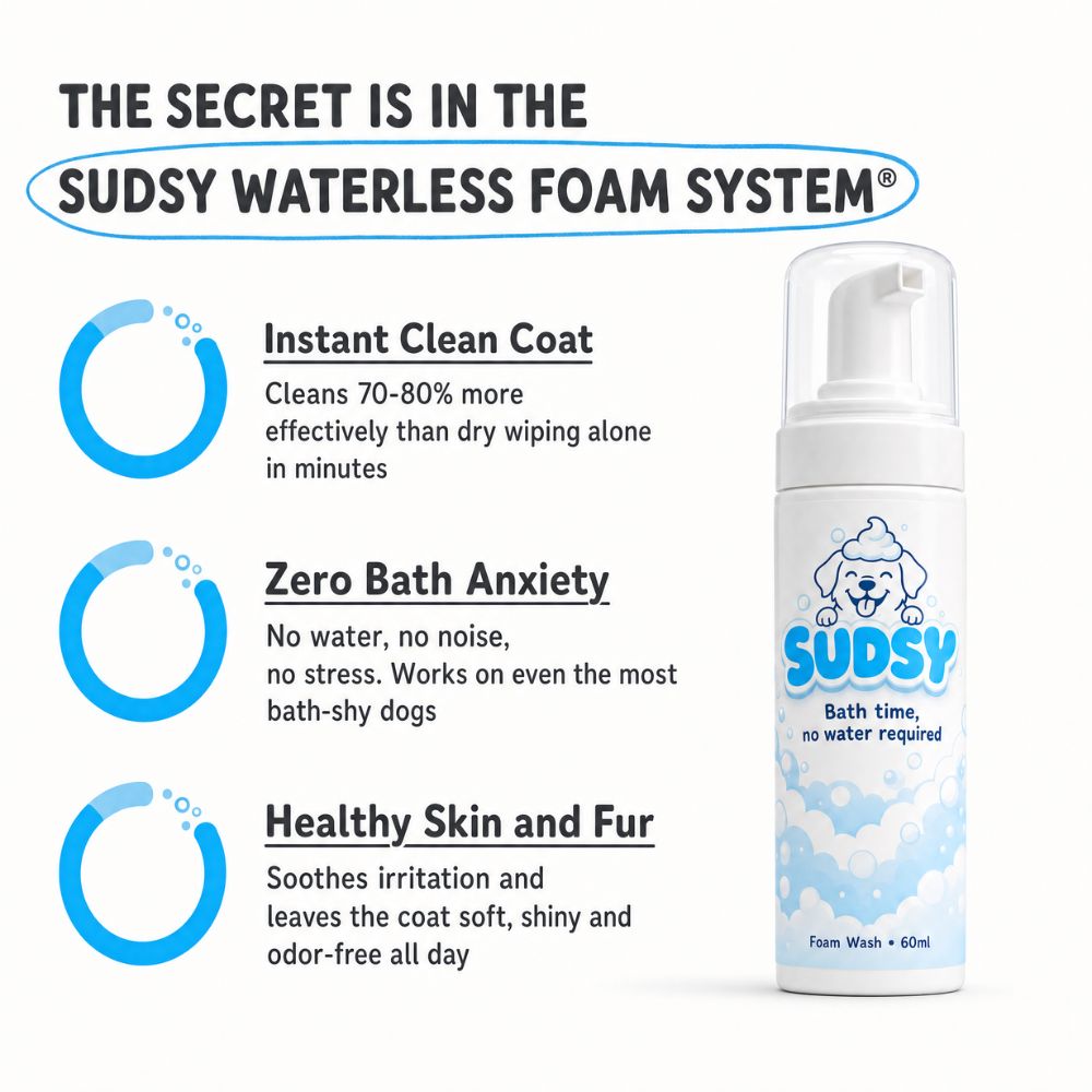 Sudsy | Waterless foam shampoo