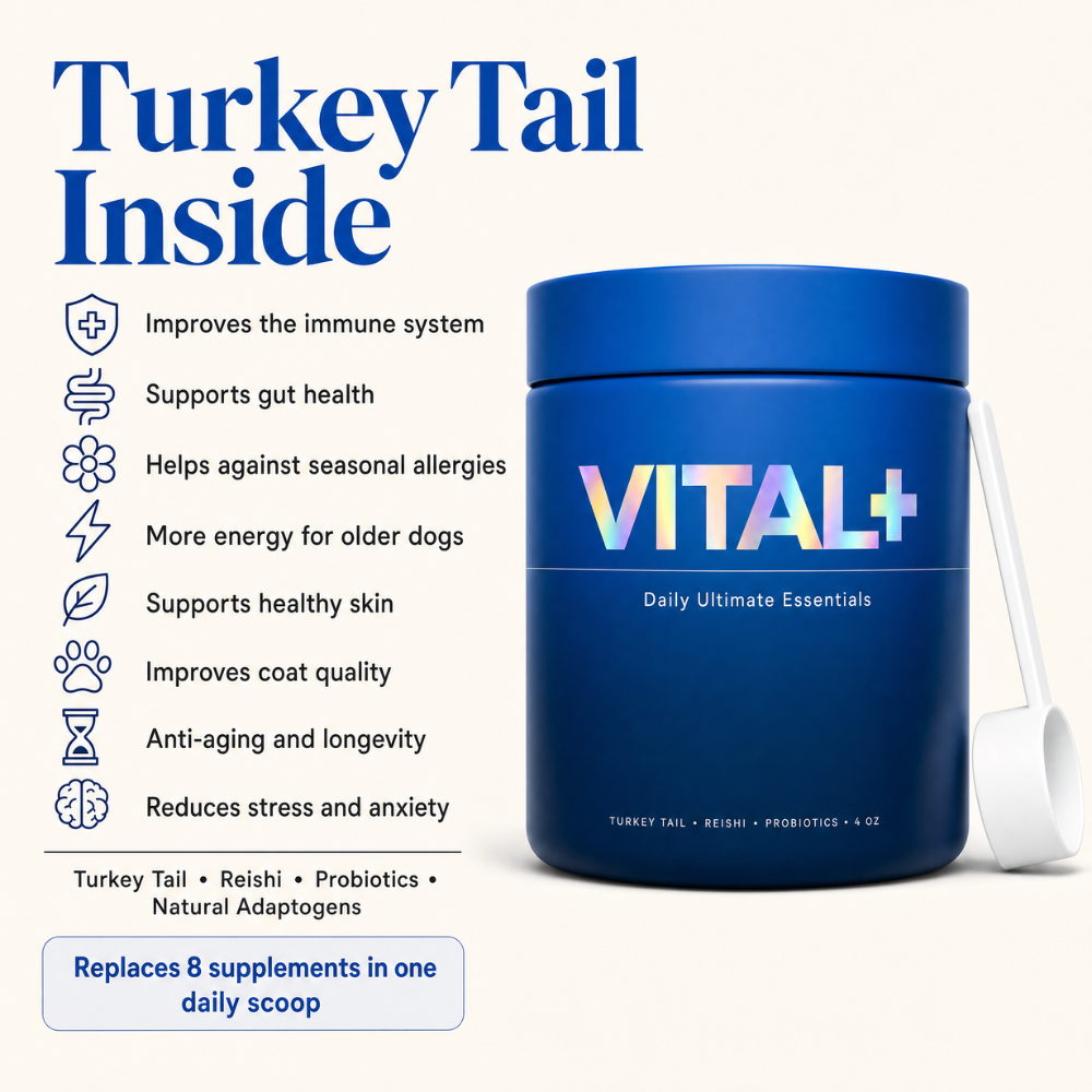 VITAL+ | Daily Ultimate Essentials